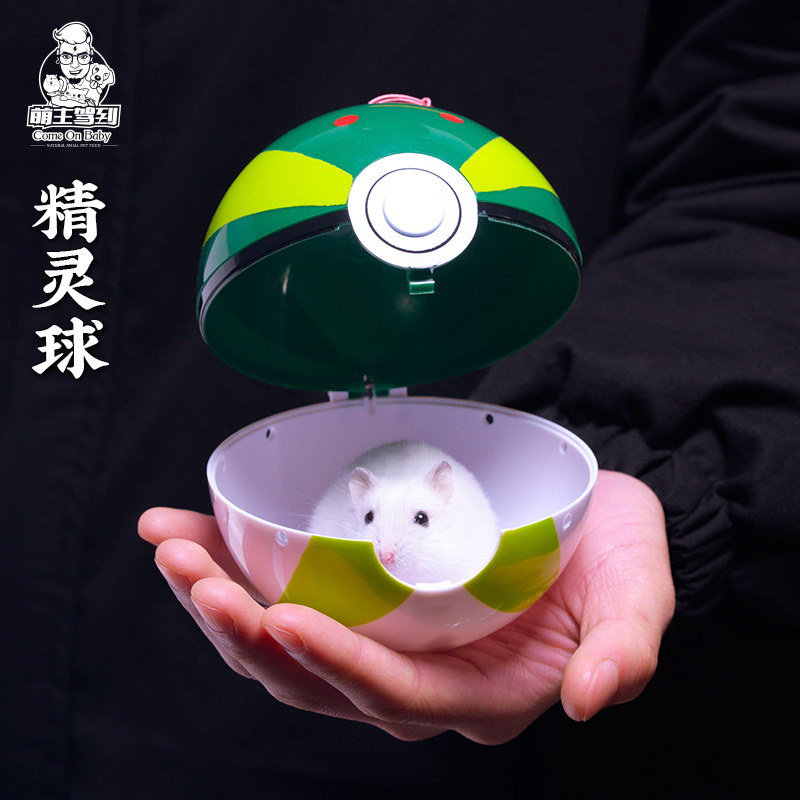 Adorable master drive to the hamster hedgehog take the ball toy supplies pet elf ball golden bear go out to carry the running ball