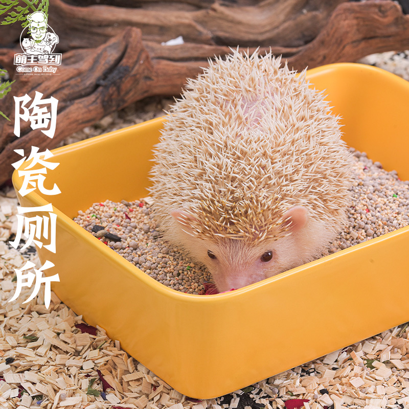Adorable master drive to Africa mini hedgehog ceramic urinal flower branch rat golden bear hamster toilet urinal supplies