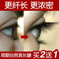 LAVER lông mi tăng trưởng chất lỏng kem nhanh và dài dày lông mi tăng trưởng lỏng lông mày uốn cong không thấm nước mascara dầu dừa