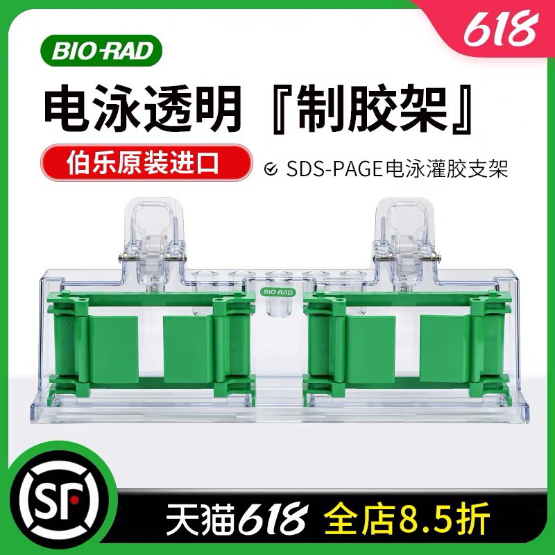 BIO-RAD伯乐原装电泳制胶架制胶条 剥胶铲加样器 电泳梳齿 电转夹