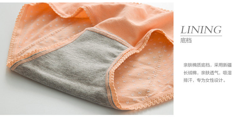 Slip jeunesse METION T895 en coton - Ref 640151 Image 18