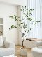 Loushujia Artificial Green Plants, High-End Light Luxury Camellia Tree, Indoor Living Room Decoration Ornaments, High-End Realistic Fake Plants