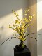 Loushujia Ing Style Dancing Orchid Artificial Bonsai for Dining Table and Entrance Hall, High-End Light Luxury Art Flower Arrangement Decoration