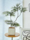 Loushujia Large-Scale Artificial Green Plants, High-End Light Luxury Indoor Potted Plants, Decorative Bionic Plant Ornaments, Sofa Fake Green Plants