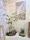 Loushujia Artificial Indoor Landscape Combination Fake Green Plants for Decorating under Stairs Micro Landscape Fake Plant Trees