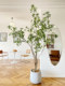 Loushujia Artificial Plant, Horse-Dranker Tree, Light Luxury Fake Green Plant, Landscaping, Bionic Decorative Ornaments, Indoor Potted Plant, Fake Tree