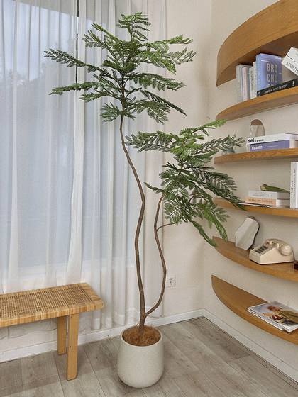 Loushujia Artificial Green Plant Jacaranda Large Floor-Standing Potted Plant Decoration for Living Room Indoor Light Luxury Decoration Fake Tree Plant