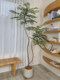 Loushujia Artificial Green Plant Jacaranda Large Floor-Standing Potted Plant Decoration for Living Room Indoor Light Luxury Decoration Fake Tree Plant