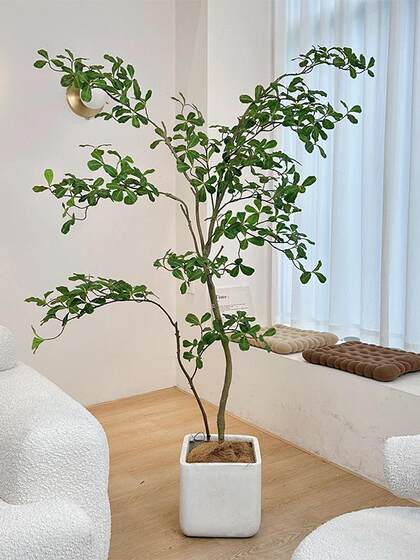 Loushujia Large-Scale Floor-Standing Artificial Green Plants, Indoor High-End Light Luxury Decorative Landscaping Ornaments, Simulated Fake Tree Plants