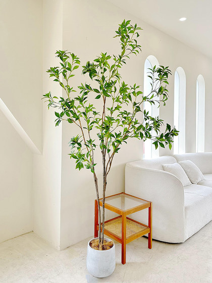 Loushujia Artificial Plant, Horse-Dranker Tree, Light Luxury Fake Green Plant, Landscaping, Bionic Decorative Ornaments, Indoor Potted Plant, Fake Tree