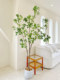 Loushujia Artificial Plant, Horse-Dranker Tree, Light Luxury Fake Green Plant, Landscaping, Bionic Decorative Ornaments, Indoor Potted Plant, Fake Tree