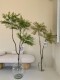 Loushujia Scandinavian Style ins Artificial Plants, Rich and Luxurious Nandina Bamboo, Fake Green Plant Bonsai, Popular Indoor Decoration, Horse-Dranker Tree