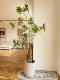 Nordic ins Artificial Green Plant Lily Bamboo Large Floor-Standing Indoor Living Room Decoration Window Display Potted Fake Plant
