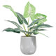 Nordic Artificial Plant Pot with Monstera Leaves, Artificial Plant Potted Plant, Home Tv Cabinet Desktop Decoration, Cement Bonsai