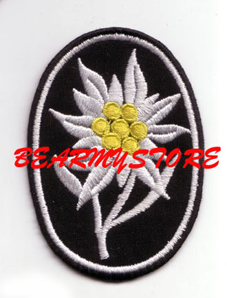 German Mountain Division Guide Snow Velvet Arms Chapters Mountain Troops Embroidered Snowy Velvety Sleeves