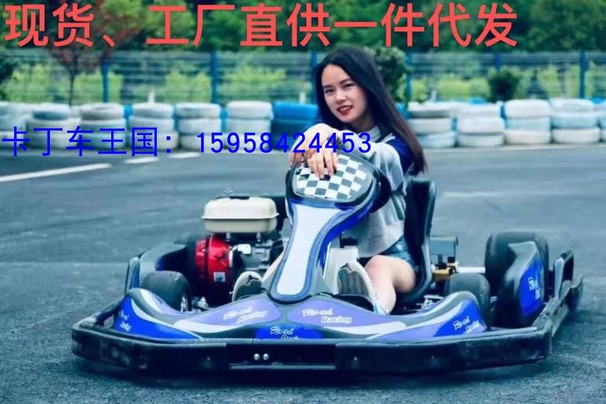 Venue Competitive Kart Racing Formula F1 ATV Quad Electric Double Kart