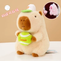 23 см [коричневый бейсбол, тянущий натягивание фундаментальной цепи]