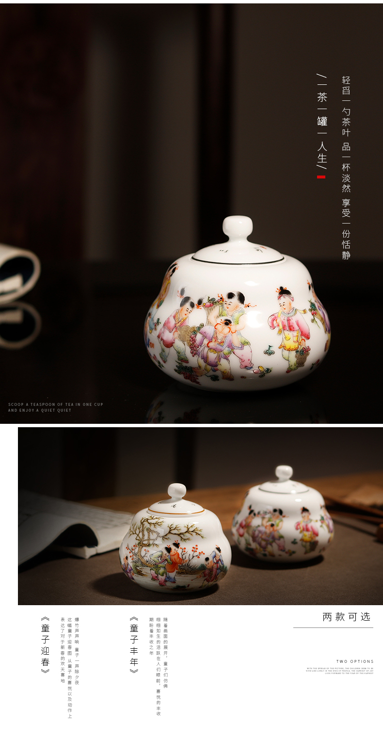 The Owl up jingdezhen high - grade hand - made tea set fine ceramic tea pot small seal pot lad gourd