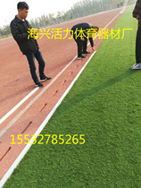 Football ground lawn edge sand article lawn with article lawn ya bian tiao lawn water plastic runway