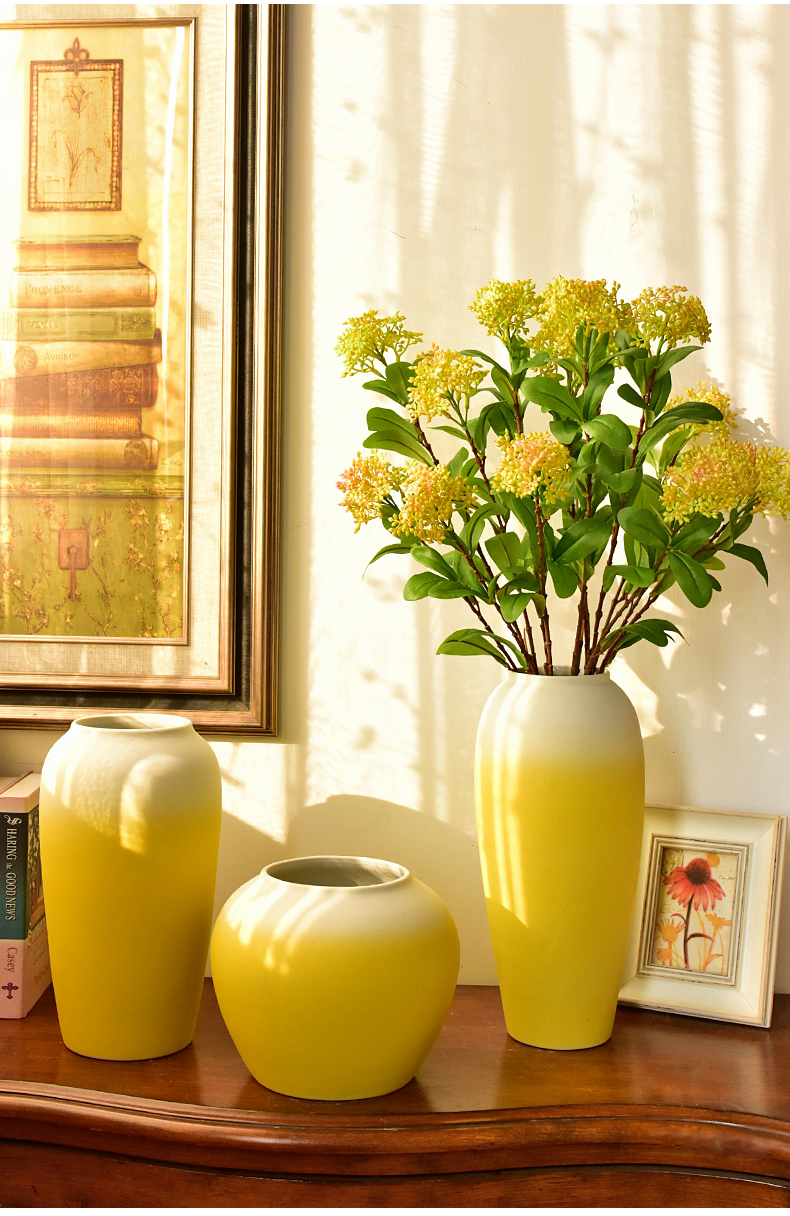 The new Angle of what Chinese style is I furnishing articles of jingdezhen ceramic vase in The sitting room porch TV ark, decoration home decoration
