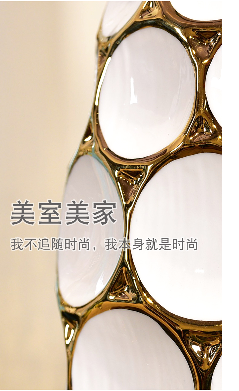 Modern light key-2 luxury ceramic flower bottle hydroponic Jane the sitting room TV ark, simulation vase vase decoration small place