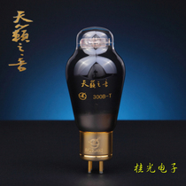 New Dawn electronic high-end tube sound of nature 300B-T direct generation 300B series factory direct warranty for one year