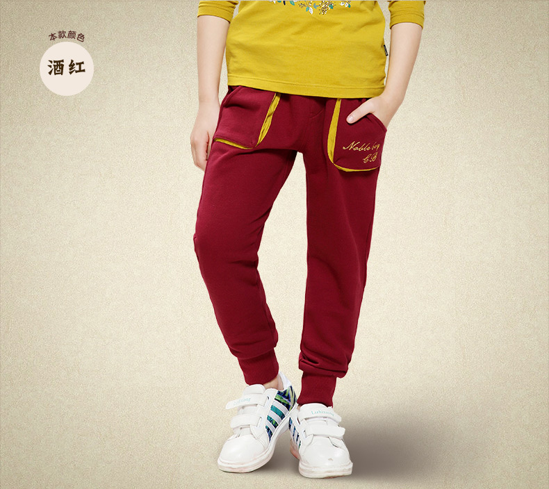 Pantalon garcon EBCASTLE 116SK42 - Ref 2055246 Image 30