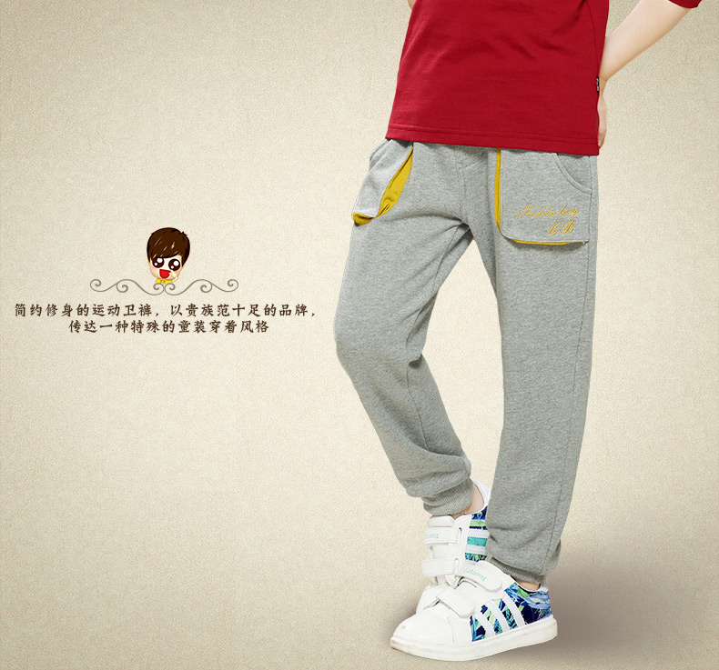 Pantalon garcon EBCASTLE 116SK42 - Ref 2055246 Image 29