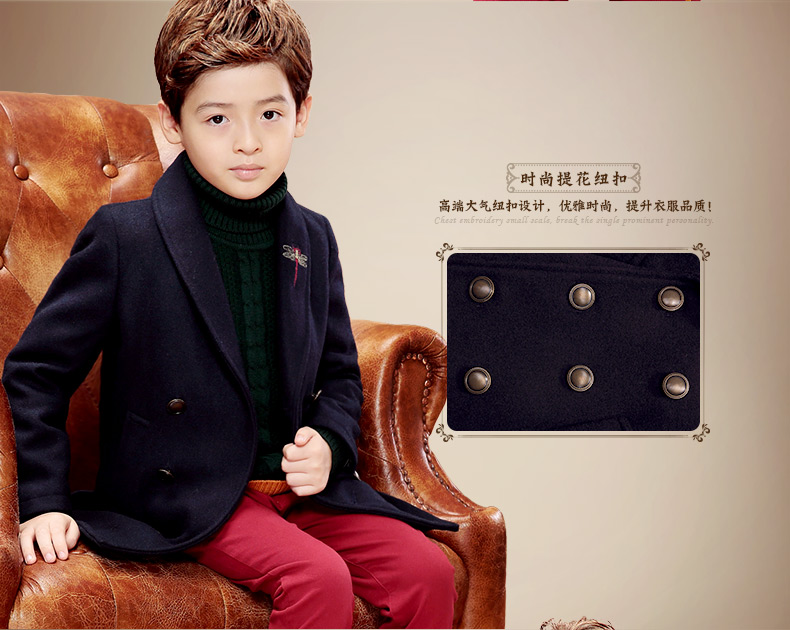 Manteau pour garcon EBCASTLE en mélange - Ref 2161282 Image 25