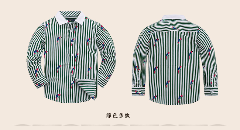 Chemise garcon EBCASTLE à manche longue - Ref 2082646 Image 33