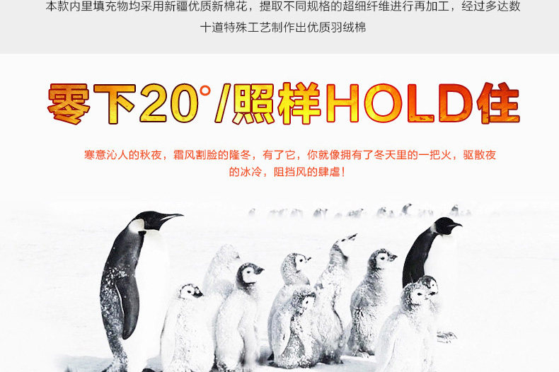 Vêtement de travail en coton - Ref 1913092 Image 11