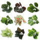 Flower arrangement partition potted plant with 9 green radish leaves plant wall