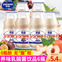 0 fat lactic acid bacteria drink 6 bottles of strawberry sour milk raw yogurt drink students childrens breakfast milk
