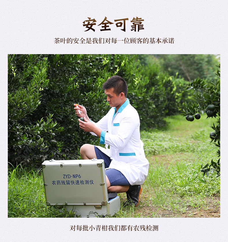 珑珠 新会小青柑罐装 12年金芽普洱+陈皮 500g 约50颗 图11
