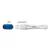 Clearblue Cauli Blue Berginrance Test Pen Test Test Test Беременность беременности беременность бейсбол Беременность Неделя