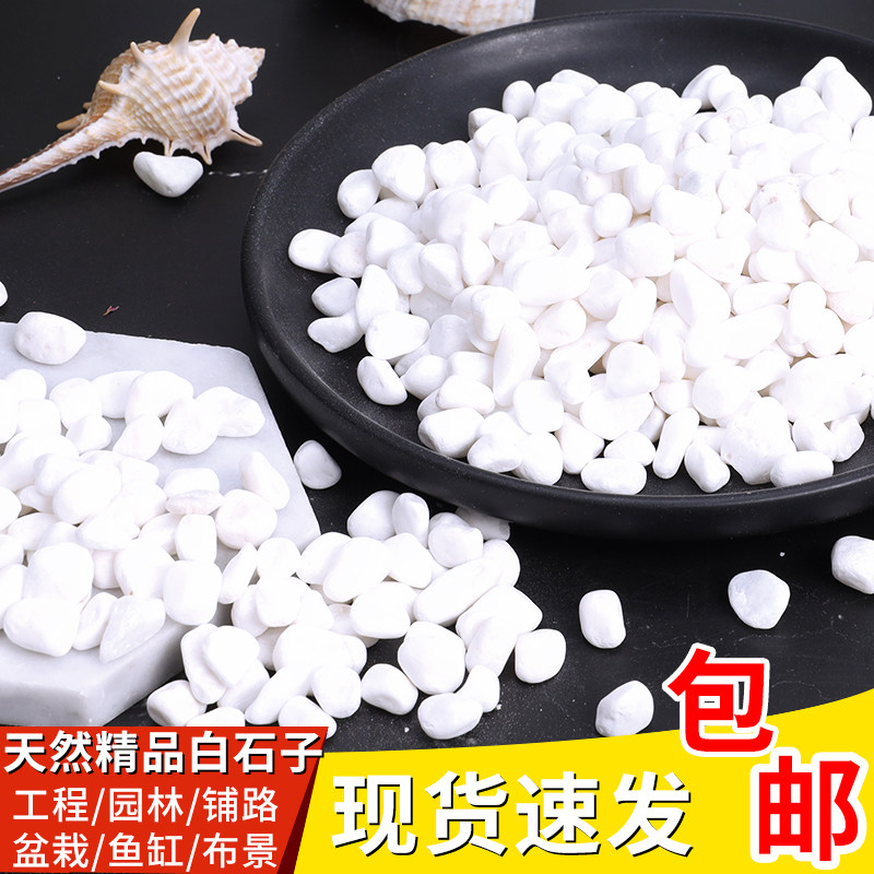 Natural white stone pebble cobblestone multi-meat pawn flower patio gardening landscaping fish tank rain flower stone white small stones
