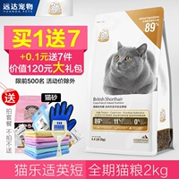 Cat Le Shi c89 Thức ăn đặc biệt ngắn của Anh 2kg mèo trẻ tự nhiên hạt đầy đủ thời kỳ mèo chính hạt thịt thịt hạt ngũ cốc - Cat Staples thức ăn chó mèo