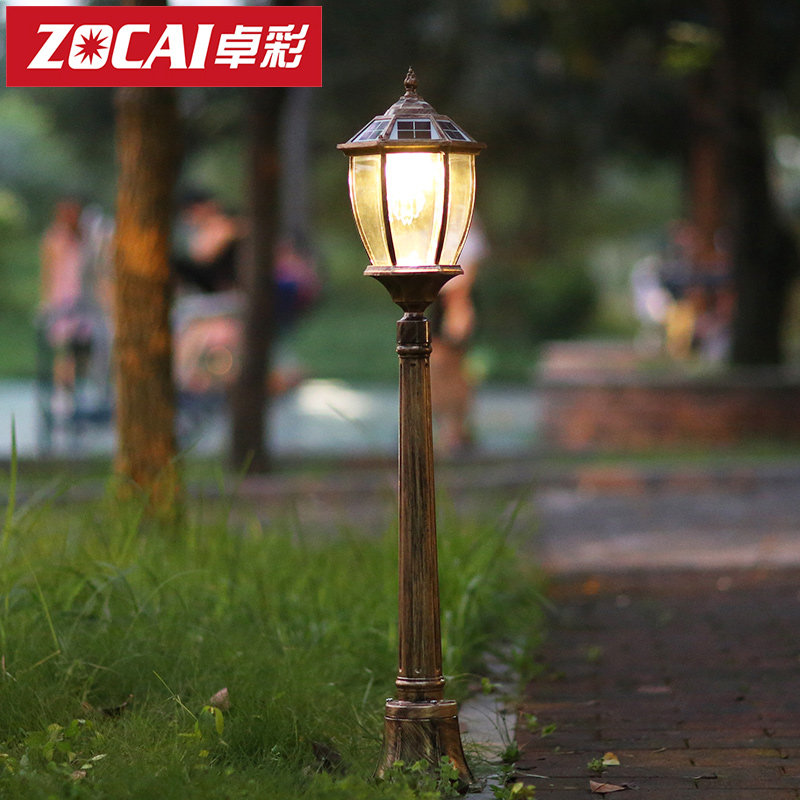 ׿��̫���ܻ���ͥԺ��ZC-TYD