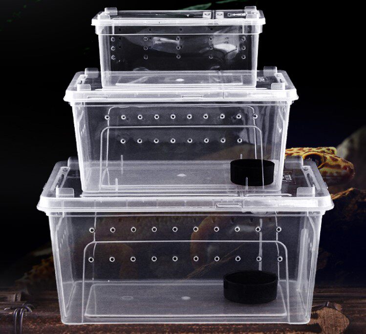 Reptile reptile Spider Patron Lizard Scorpion Centipede Angle Frog Turtle Snail Rearing Box Pet Snake Plastic Rearing Box 