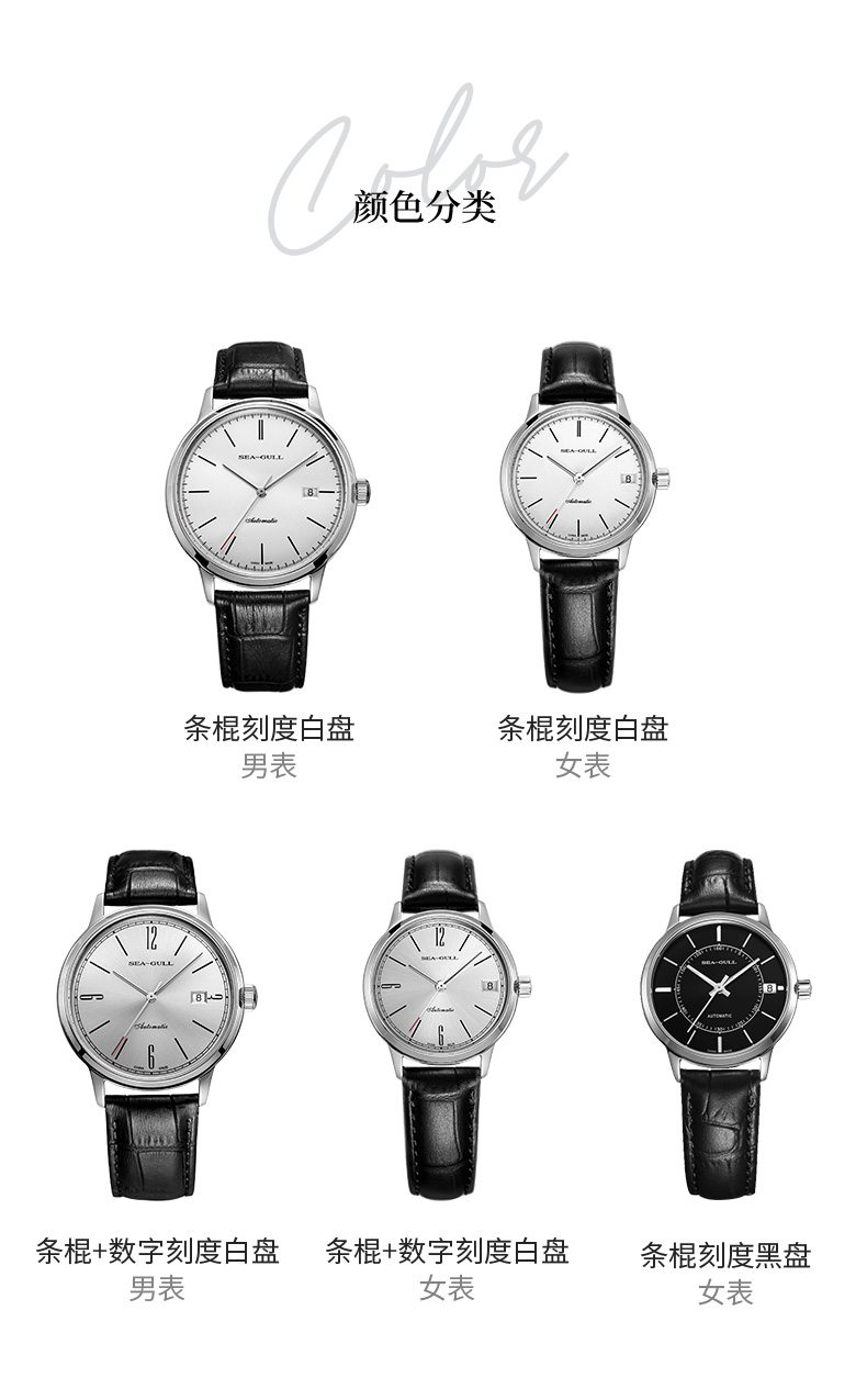 海鸥 Seagull 819.368  男款自动机械表 图11