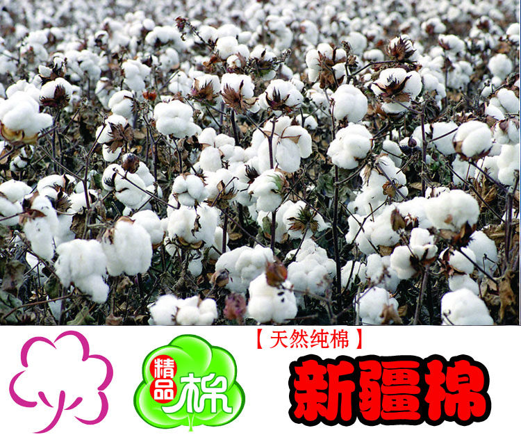 Protection sport - Ref 584817 Image 60