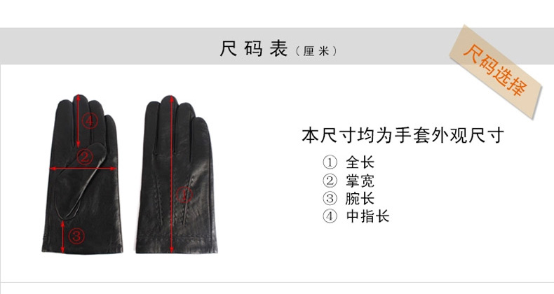 Gants pour homme - Ref 2781513 Image 42
