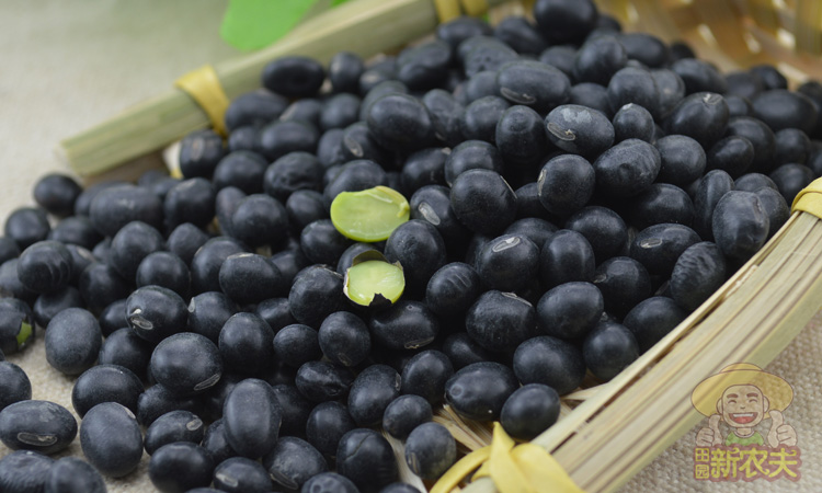 New stock green core black bean 500 gr farmhouse green Renren black bean green core 