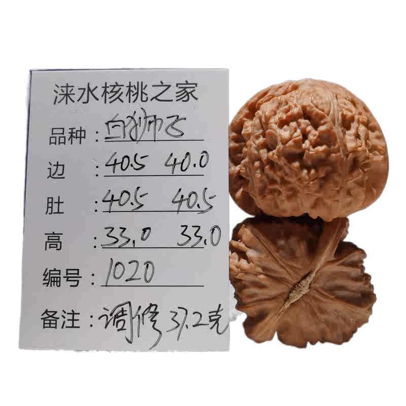 40白狮子头- Top 50件40白狮子头- 2026年5月更新- 淘宝Taobao｜天猫Tmall