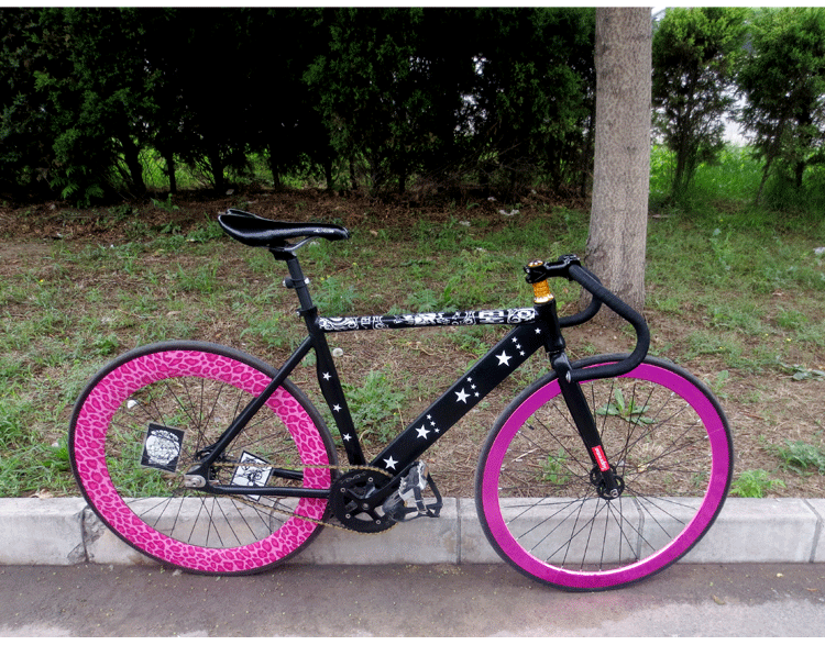 Décoration pour vélo - Ref 2277258 Image 11