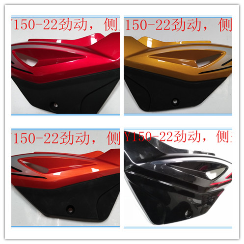 Dayun locomotive Jindong DY150-22 side cover guard plate shield bing cover factory direct supply original accessories