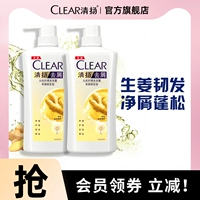 Шампунь с имбирем, удаление перхоти, 500г