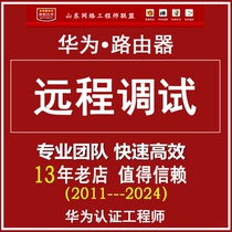 Router debugging Huawei router debugging remote debugging service