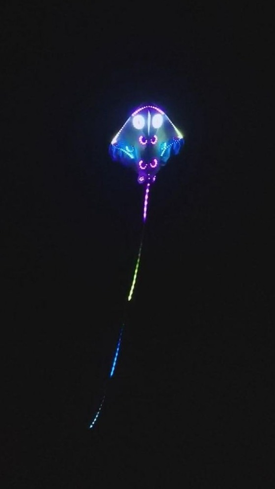 Beijing Night Light Kite Lights for an original classic reproduction 2022 version 8 flat 12 flat owner Fish Night Light Kite