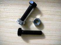 The upper and lower plate screw